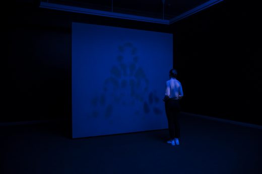 Erebidae / From the darkness, 2020 View from exhibition Fleeting Existence, Joensuu Art Museum, Finland (programmed LED light, painting and shadow)